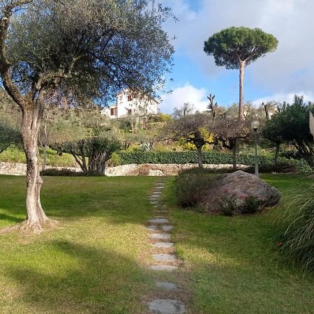Casa Degli Ulivi Apartman Lerici Kültér fotó